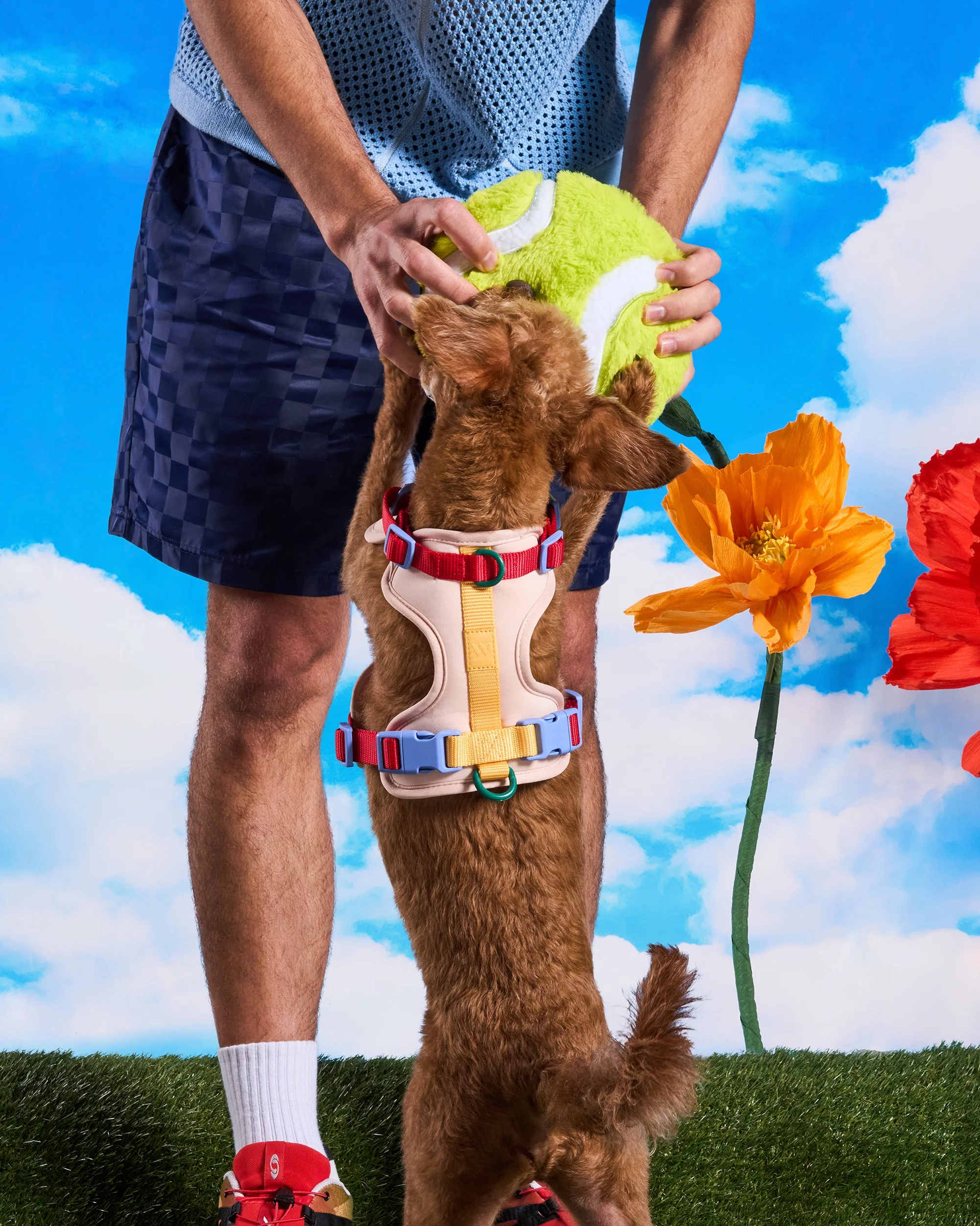 Playful Plush Dog Toy Kit - Image 3