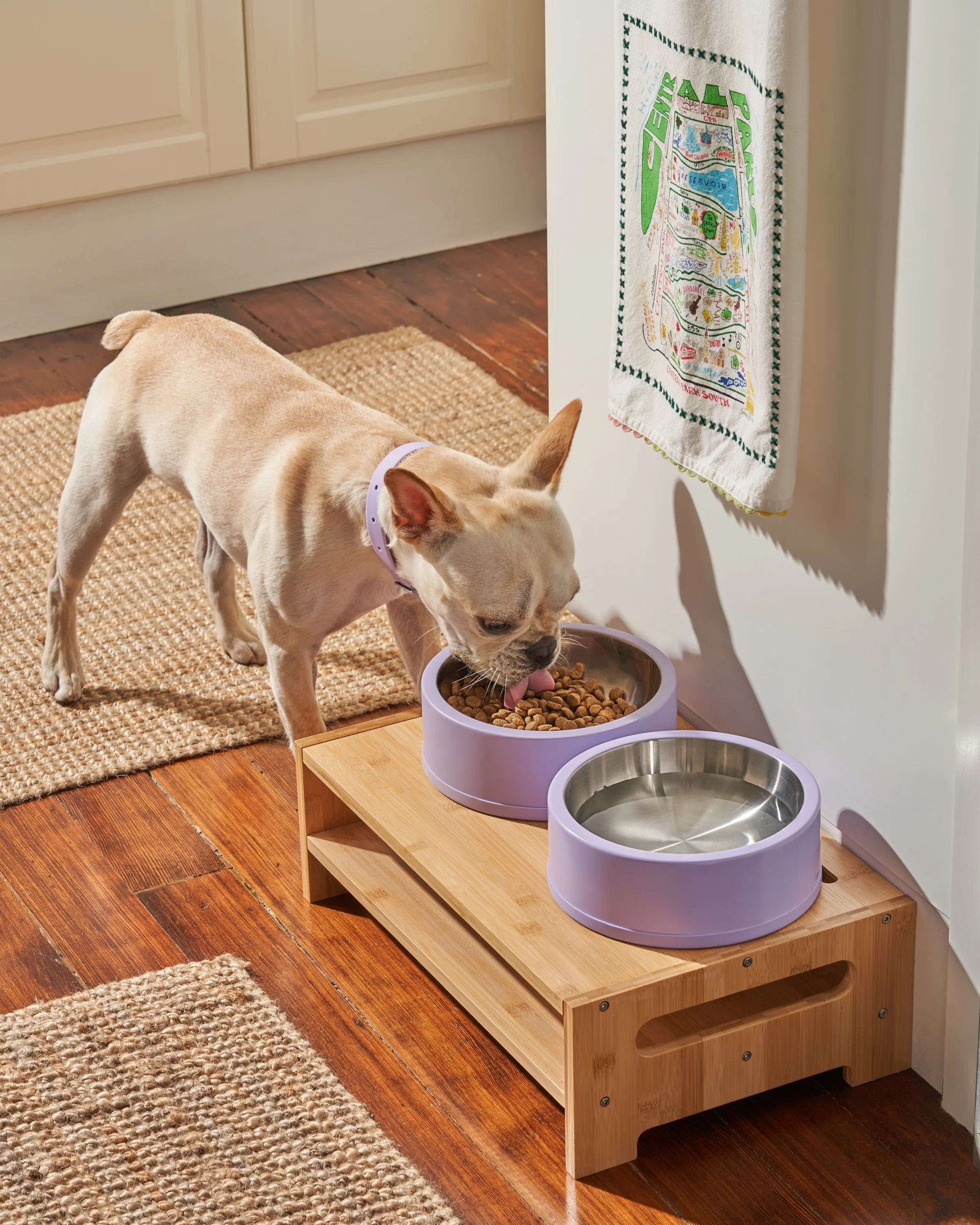 Dog Bowl - Image 8