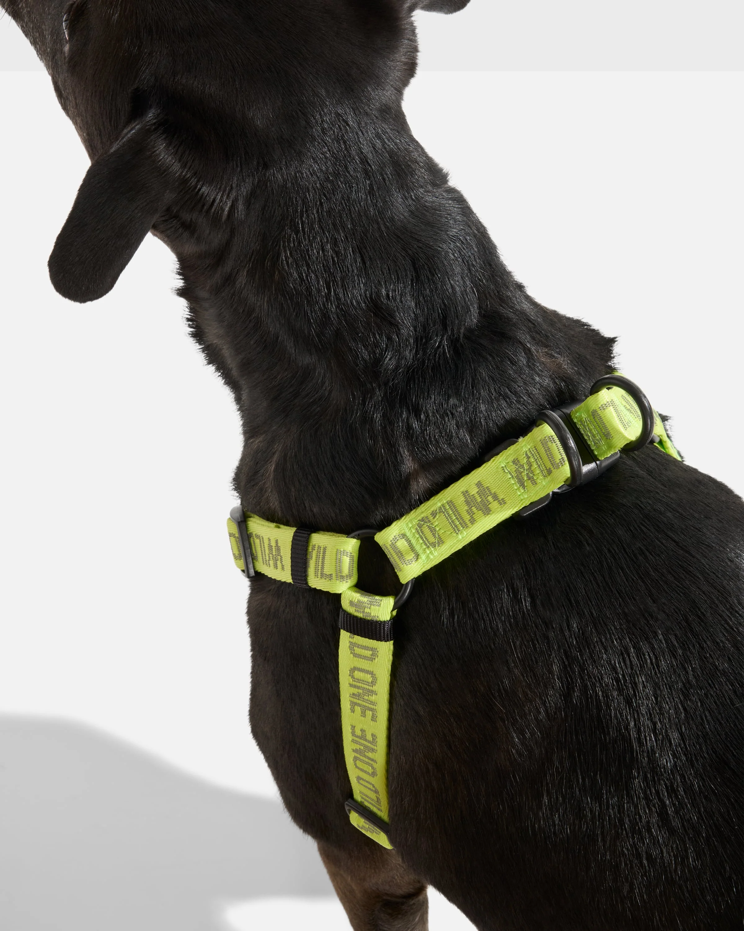Step-In Dog Harness - Image 30