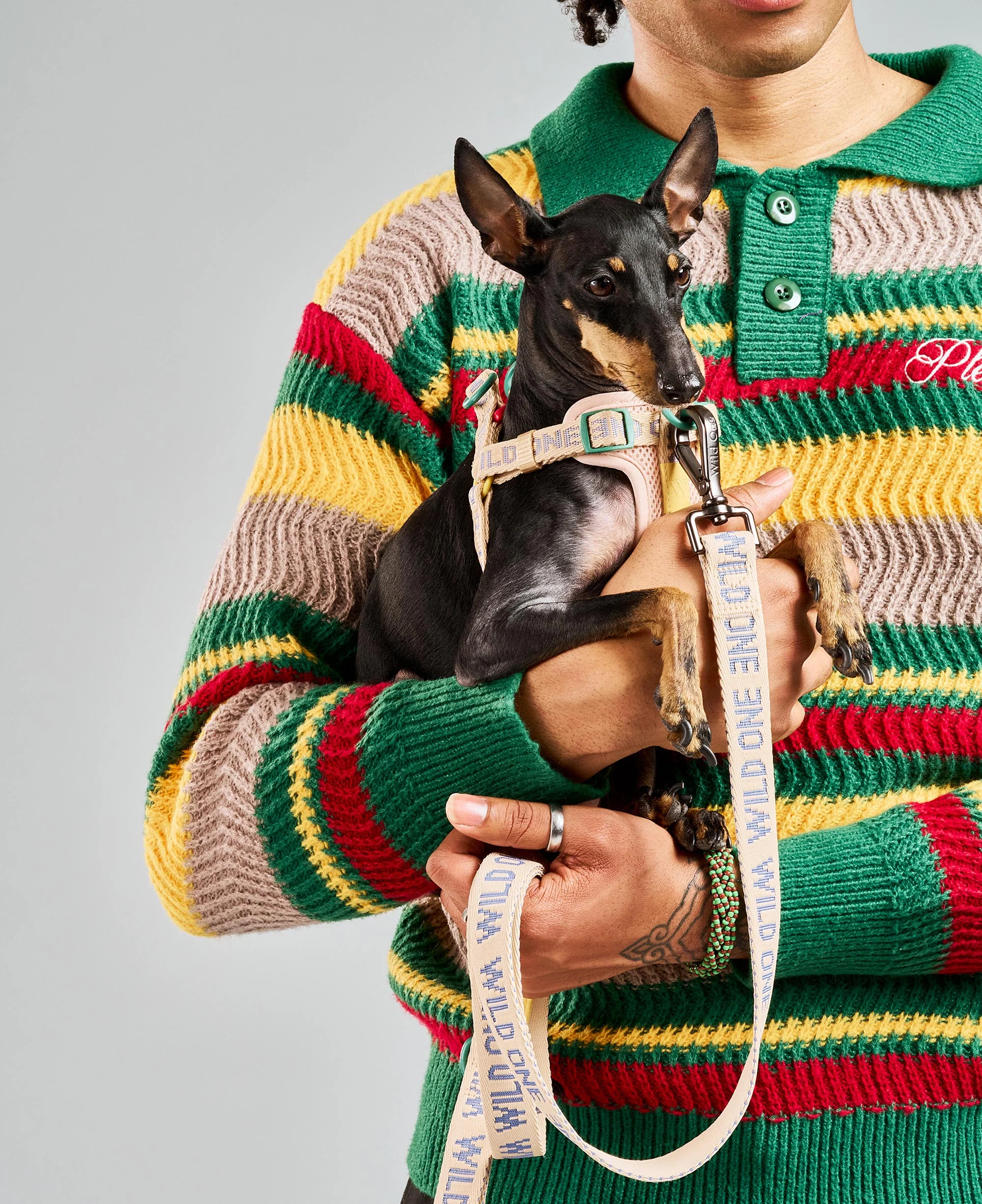 Step-In Dog Harness - Image 9