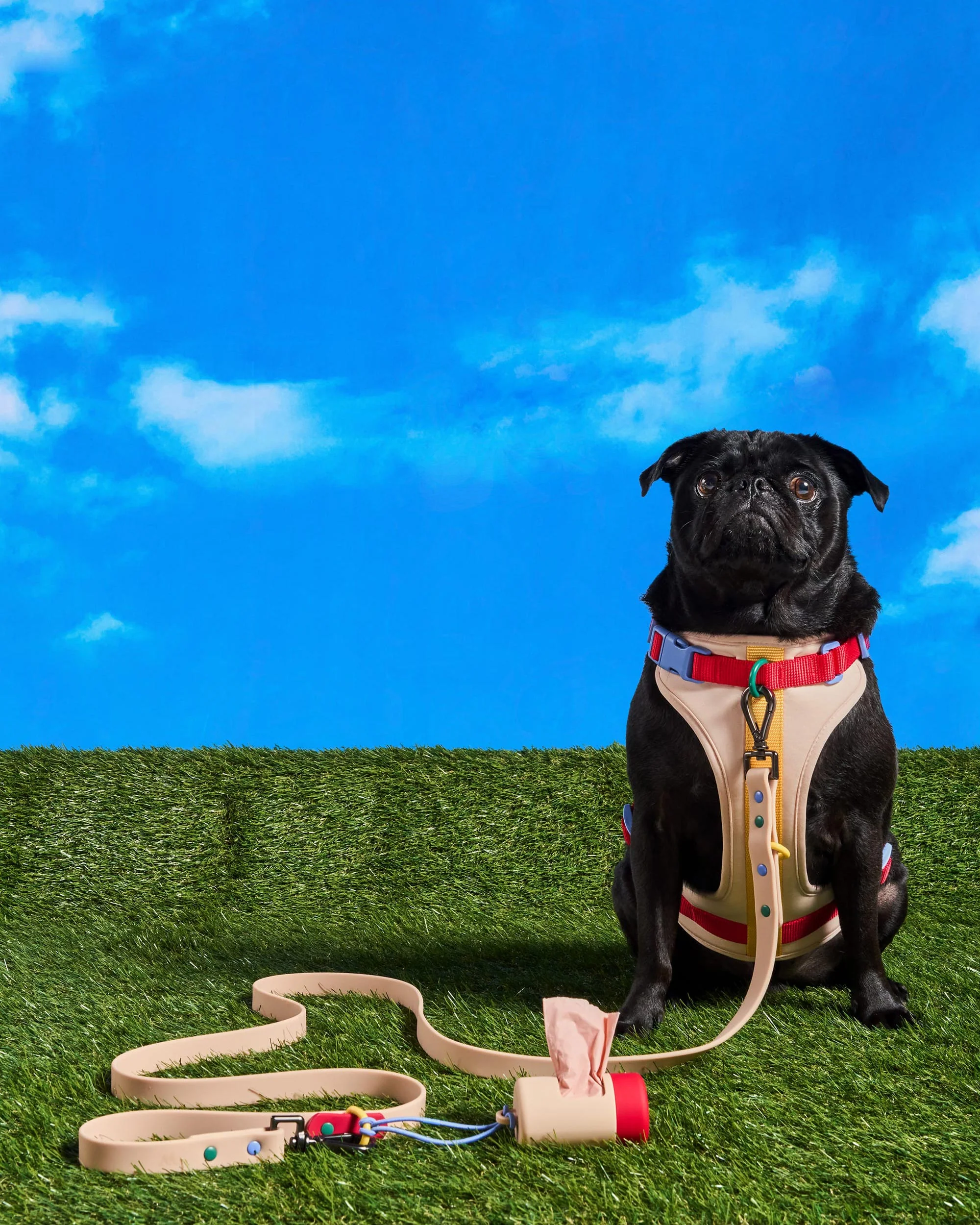 Cushioned Dog Harness - Image 15