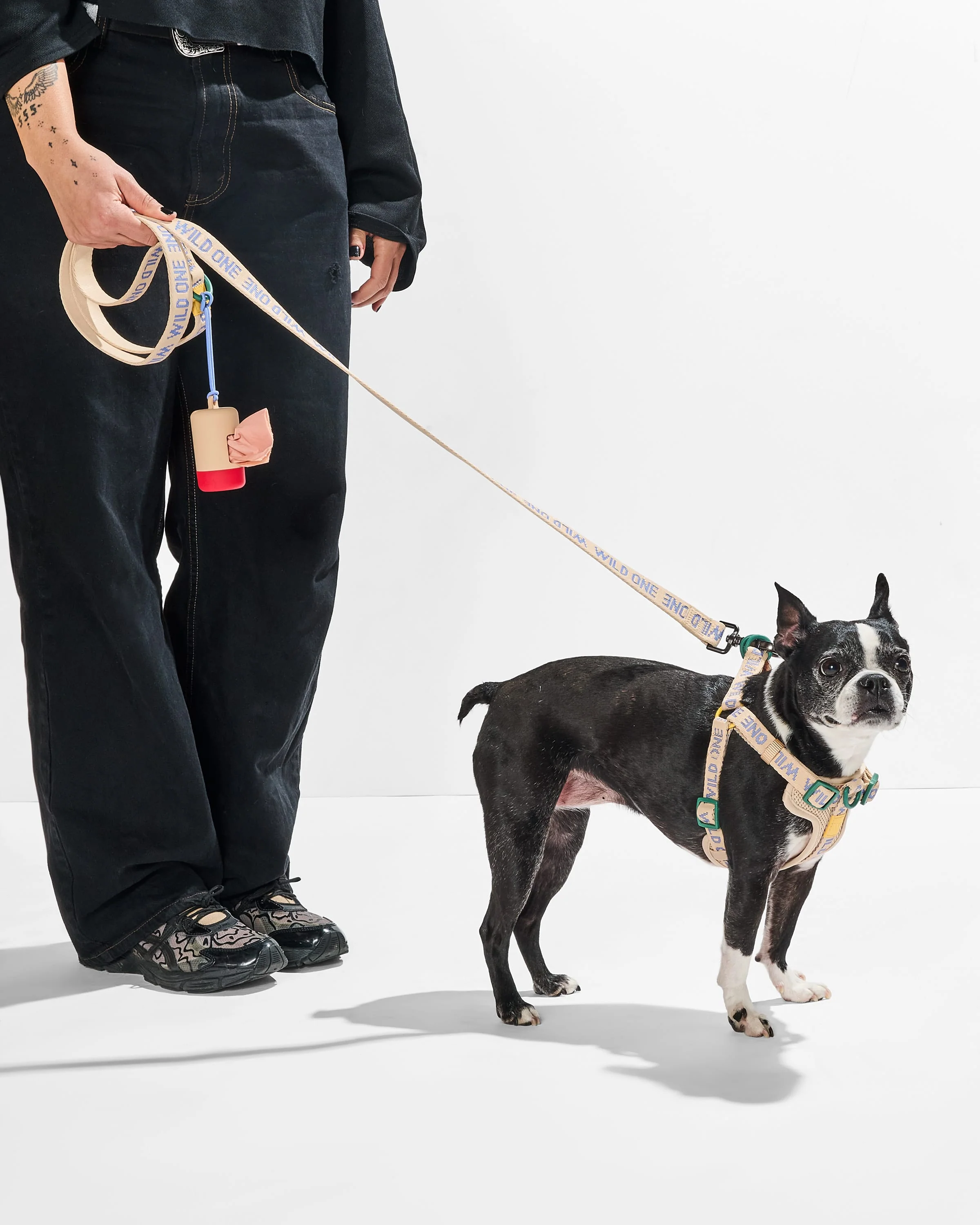 Step-In Harness + Lightweight Leash Walk Kit - Image 6