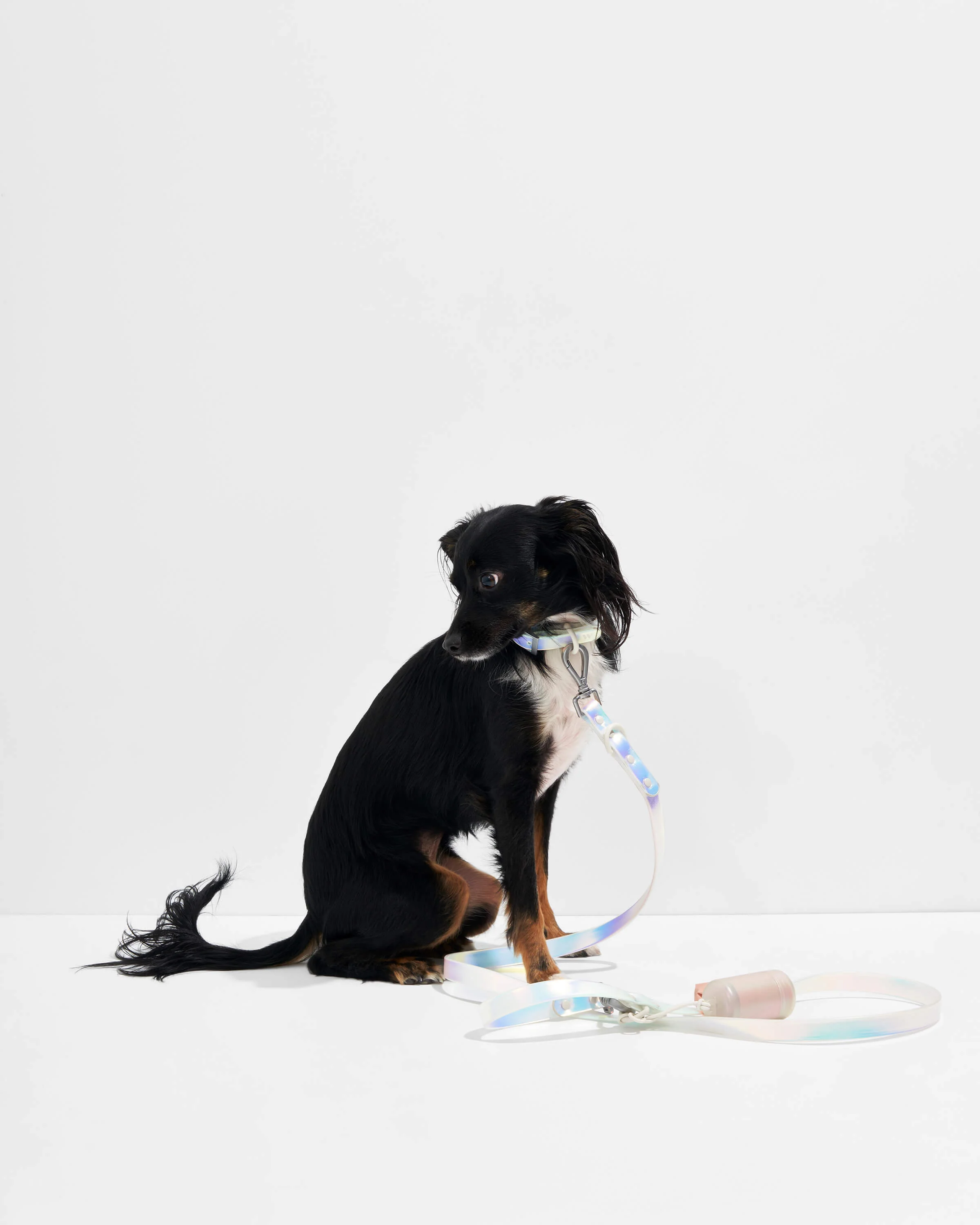Waterproof Dog Leash - Image 14