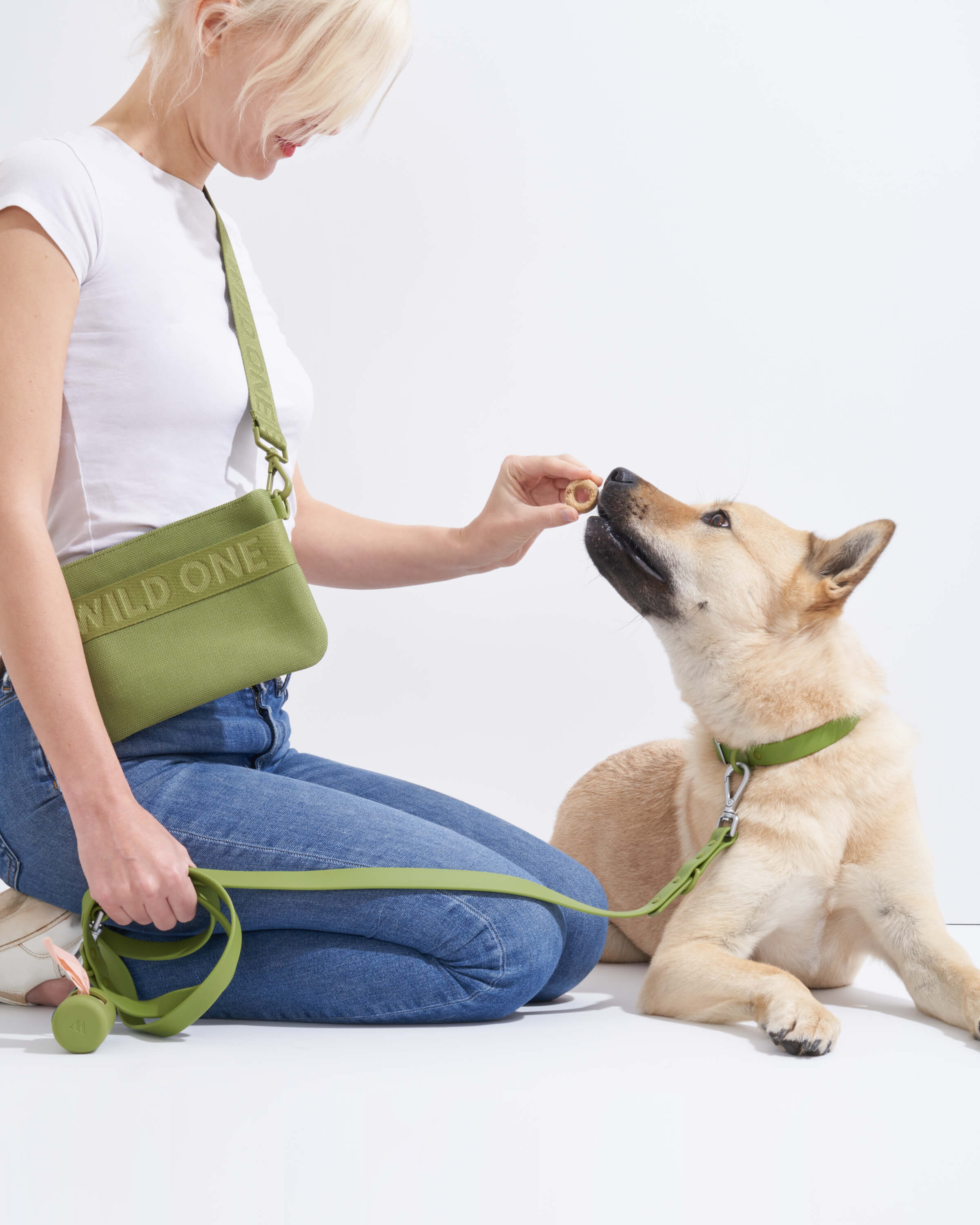 Waterproof Dog Leash - Image 12