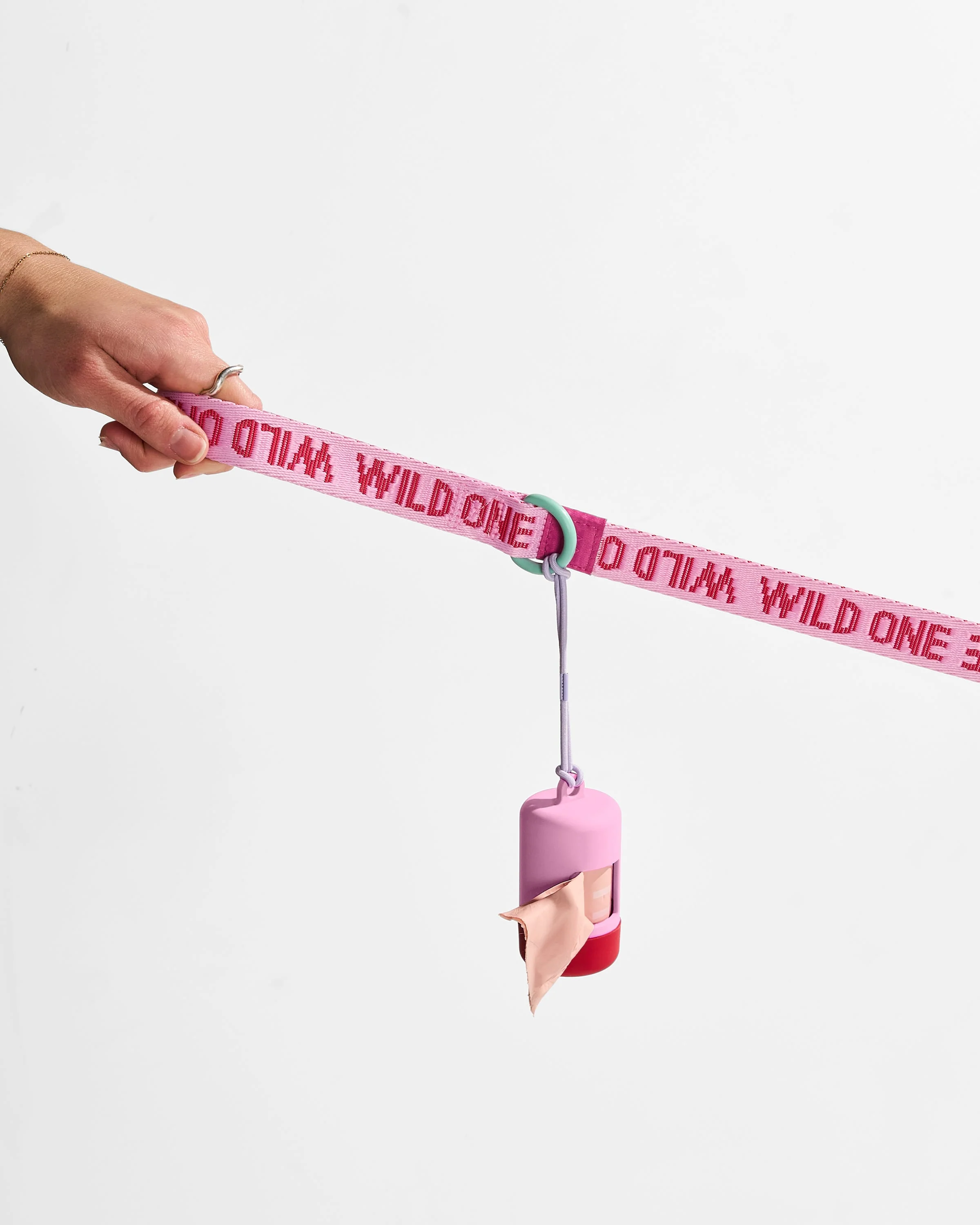 Quick-Release Collar + Lightweight Leash Walk Kit - Image 5